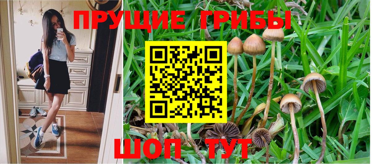 где продают   Вход с VPN  Владикавказ  Галлюциногенные грибы Cubensis 