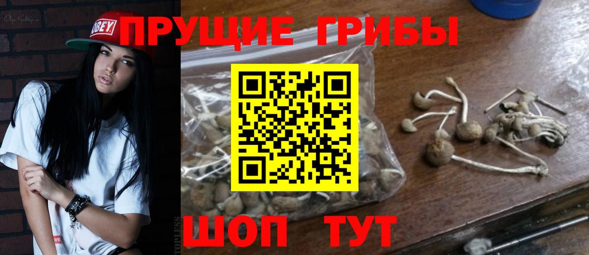 Псилоцибиновые грибы ЛСД Владикавказ